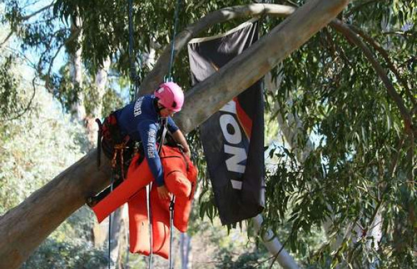 Samantha Baker tree climbing 1 thumb