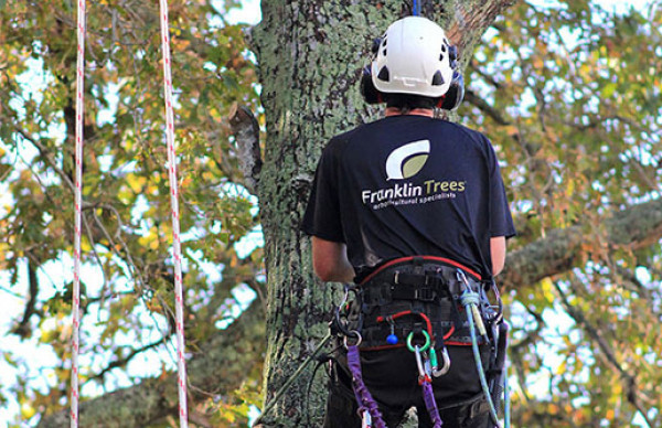 News Article photos 300 x 270 px 0074 climber portrait