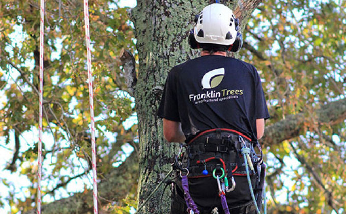 News Article photos 300 x 270 px 0074 climber portrait