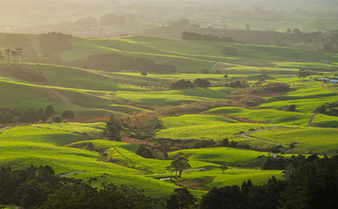 News Article photos Generic fields